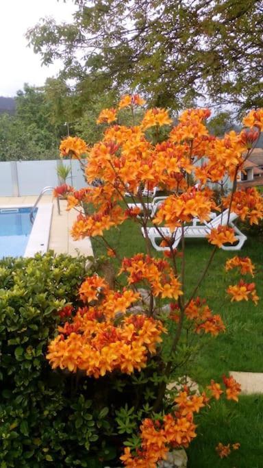 Casat5, Ferias, Piscina Privativa. Agueda, Aveiro Villa Exterior photo